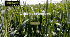 Desktop Screenshot of brohawkgroup.com