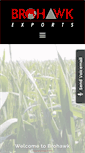 Mobile Screenshot of brohawkgroup.com
