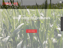 Tablet Screenshot of brohawkgroup.com